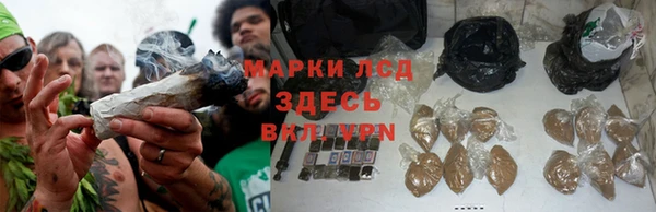 MDMA Premium VHQ Дмитров