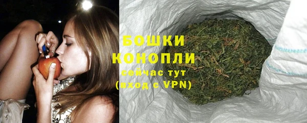 mdpv Медвежьегорск