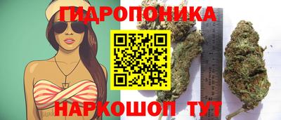 сатива Донской