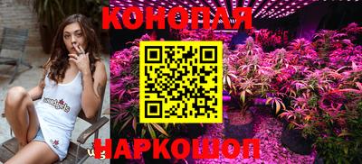 сатива Донской