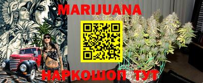 стаф Дубна