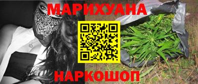 стаф Дубна
