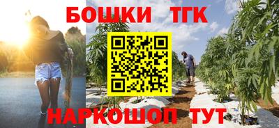 стаф Дубна