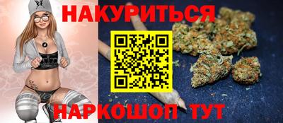стаф Дубна