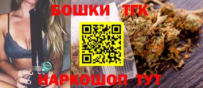 стаф Дубна