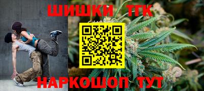 стаф Дубна