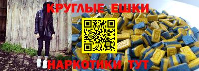 стаф Дубна