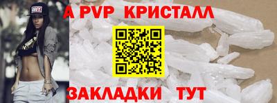 стаф Дубна