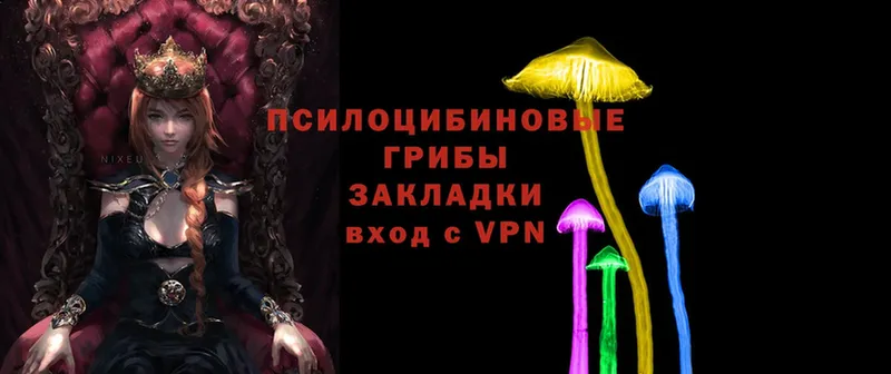 Псилоцибиновые грибы Magic Shrooms Михайловск