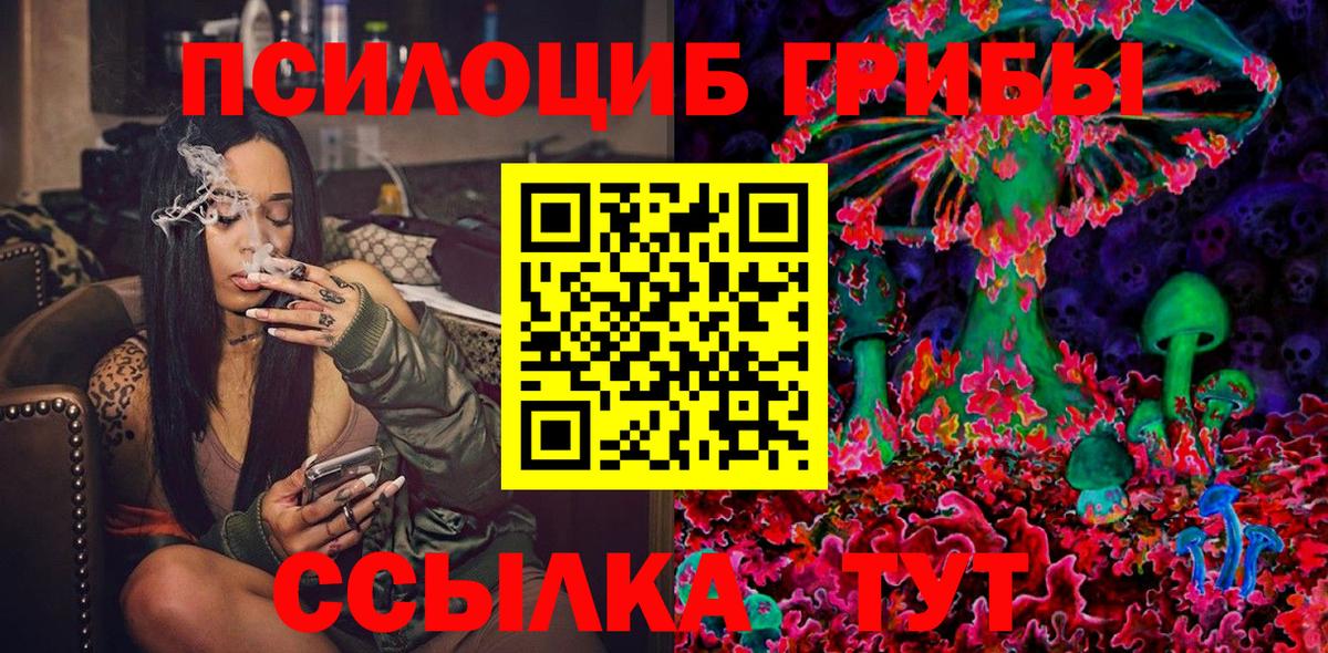 Псилоцибиновые грибы ЛСД  Псилоцибиновые грибы Cubensis  Михайловск  купить   Вход с VPN 