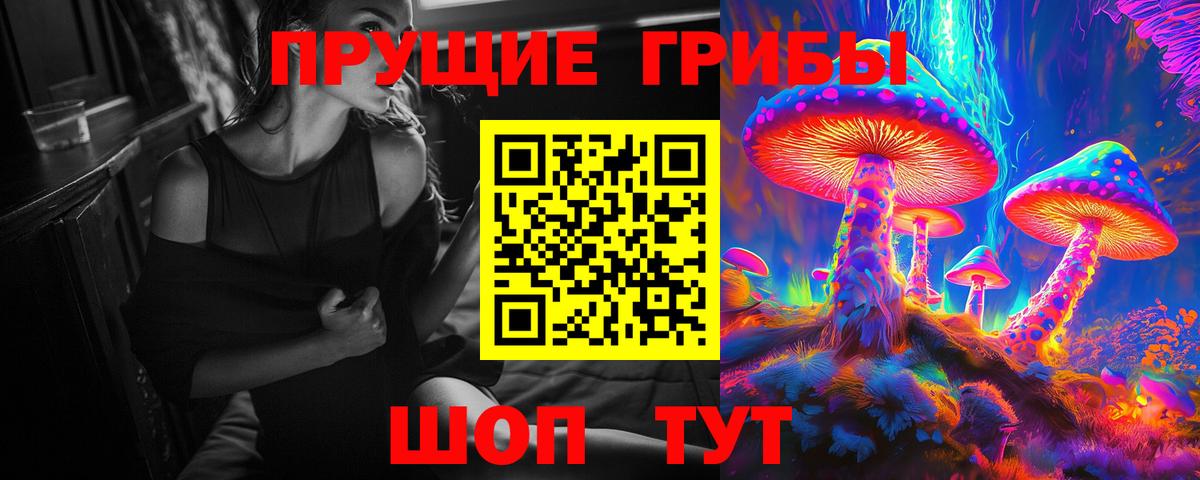 Псилоцибиновые грибы Cubensis Михайловск